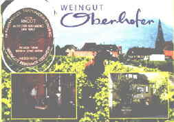 Mit ältestem Weinberg: Weingut
        Oberhofer